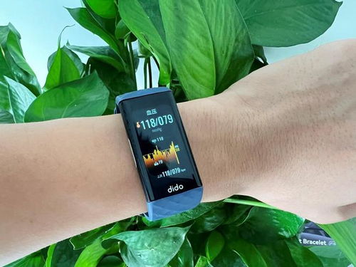 智能睡眠儀 科技助眠新選擇？三款產(chǎn)品深度剖析為你解答